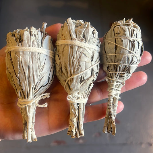 White Sage Bundle - 3”