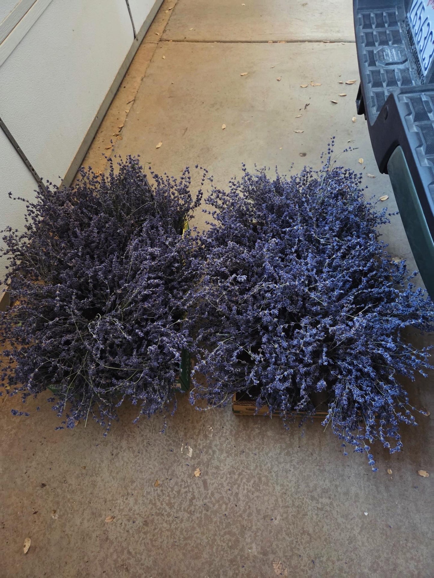 Lavender Packet from Susie Family Farm