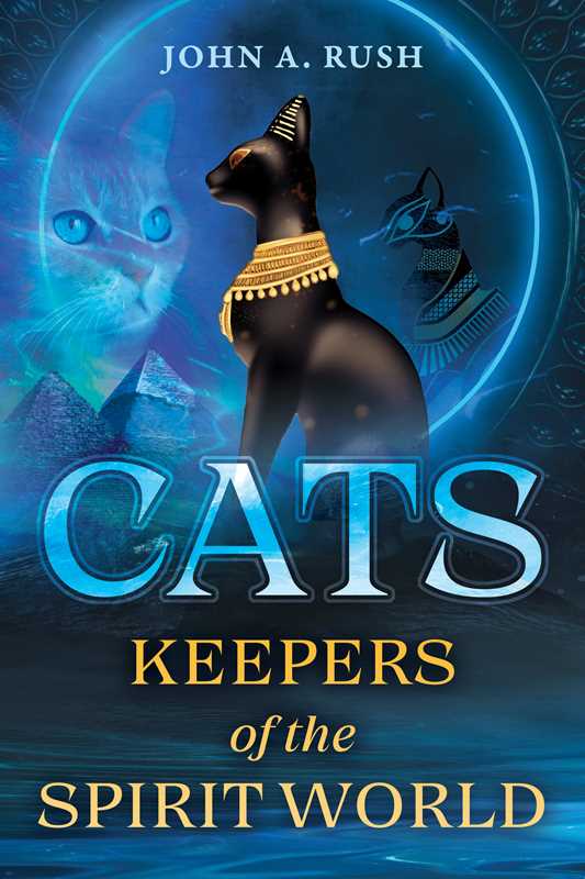 Cats by John A. Rush: Paperback; 208 pages / English