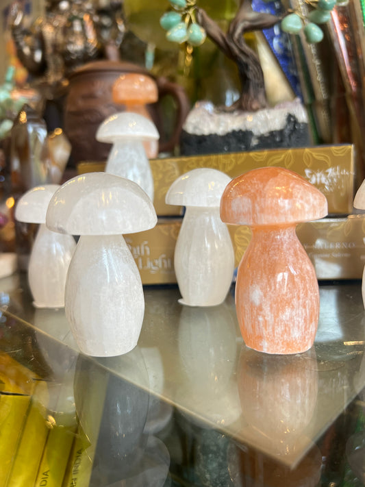 Mushroom Shaped Selenite
