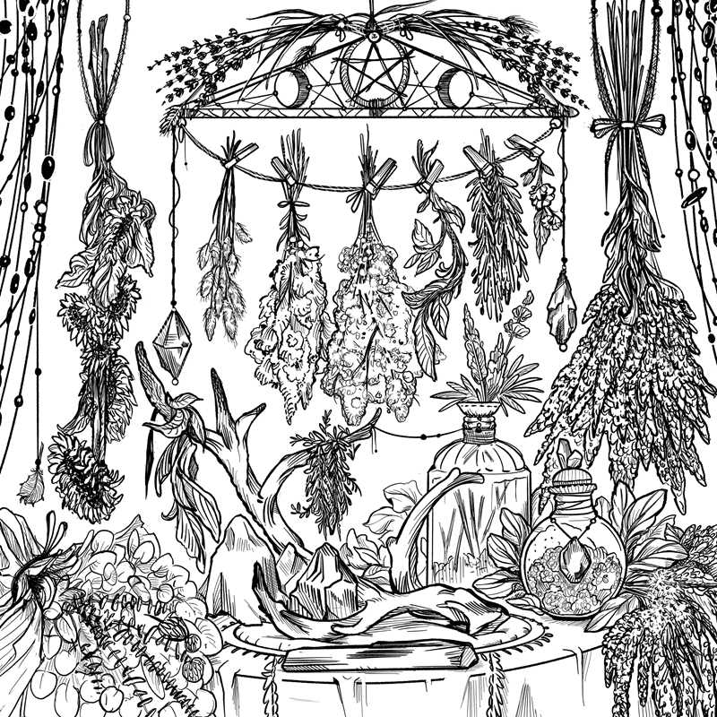 Green Witch's Coloring Book by Arin Murphy-Hiscock: Paperback; 80 pages / English