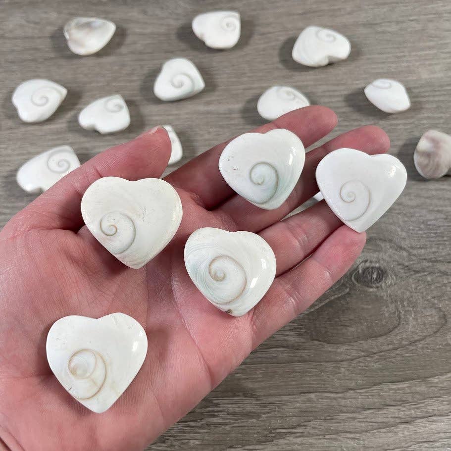 Shiva Eye Shell Heart