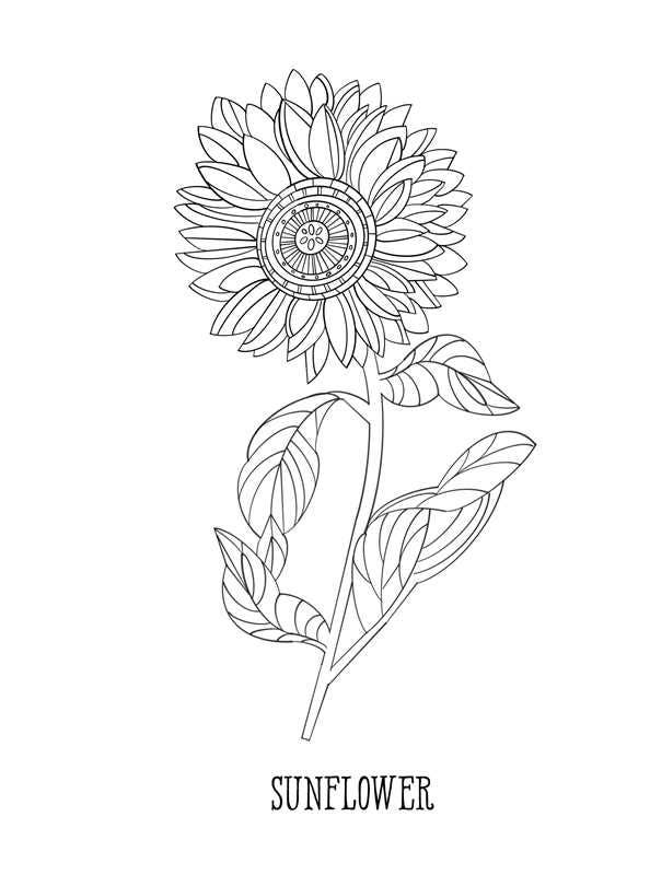 Leo: Your Cosmic Coloring Book by Mecca Woods: Paperback; 48 pages / English