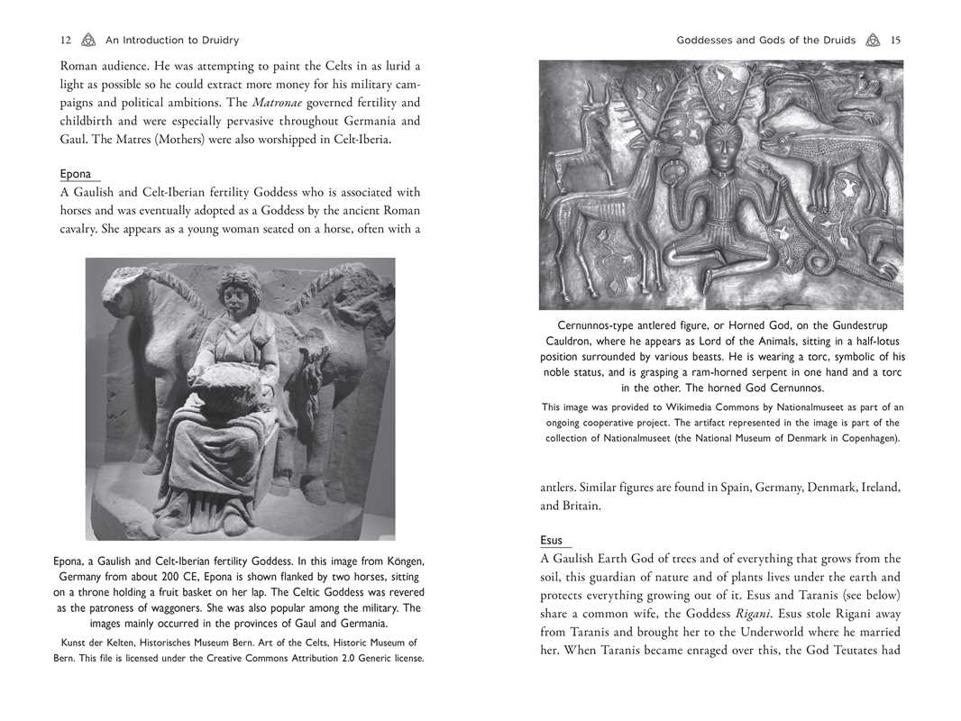 Celtic Druidry by Ellen Evert Hopman: Paperback; 256 pages / English