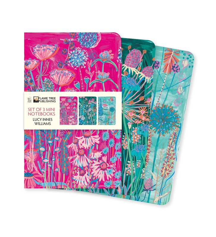 Lucy Innes Williams Set of 3 Mini Notebooks by: Notebook / blank book; 64 pages / English