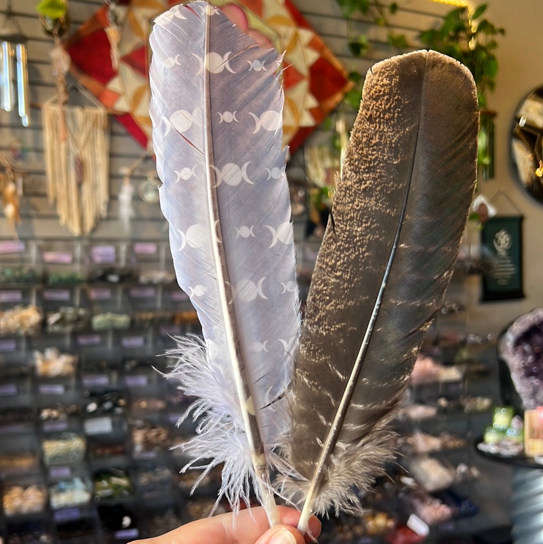Turkey Feather