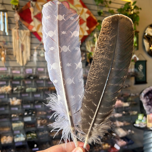 Turkey Feather