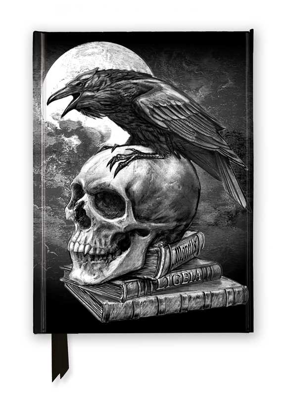Alchemy: Poe's Raven (Foiled Journal) by: Notebook / blank book; 176 pages / English