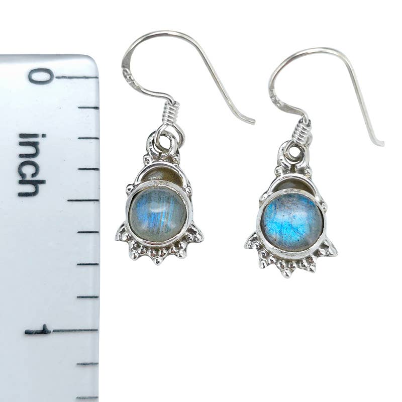 Round Labradorite Dangle Earrings