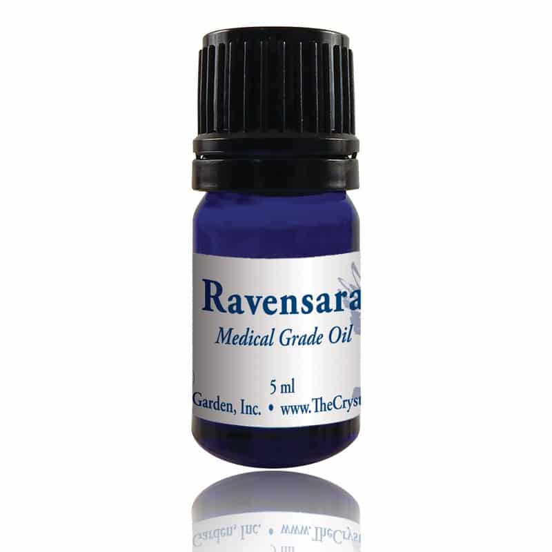 Ravensara Essential Oil | 5 ml