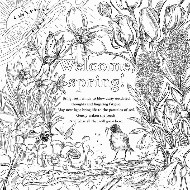 Green Witch's Coloring Book by Arin Murphy-Hiscock: Paperback; 80 pages / English