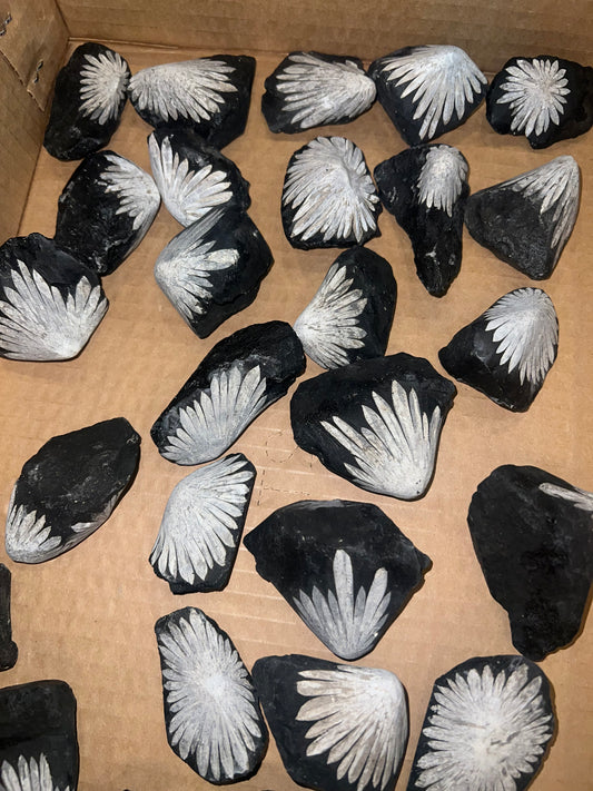 Chrysanthemum Piece