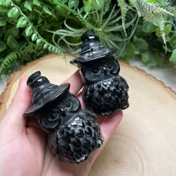 Obsidian Witch Owl