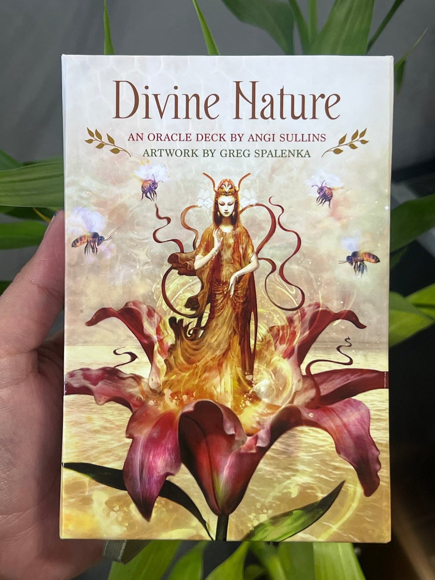 Divine Nature Oracle Deck