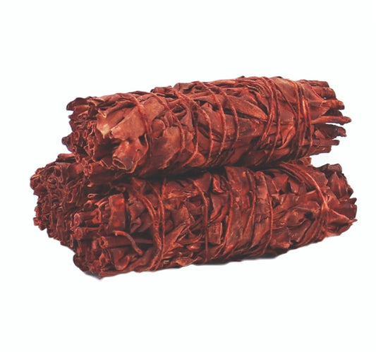 Dragon's Blood Sage-4"