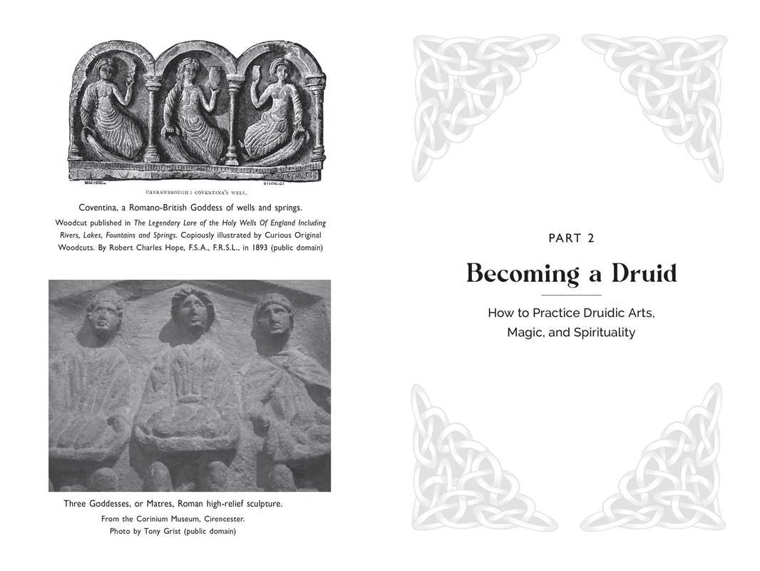 Celtic Druidry by Ellen Evert Hopman: Paperback; 256 pages / English
