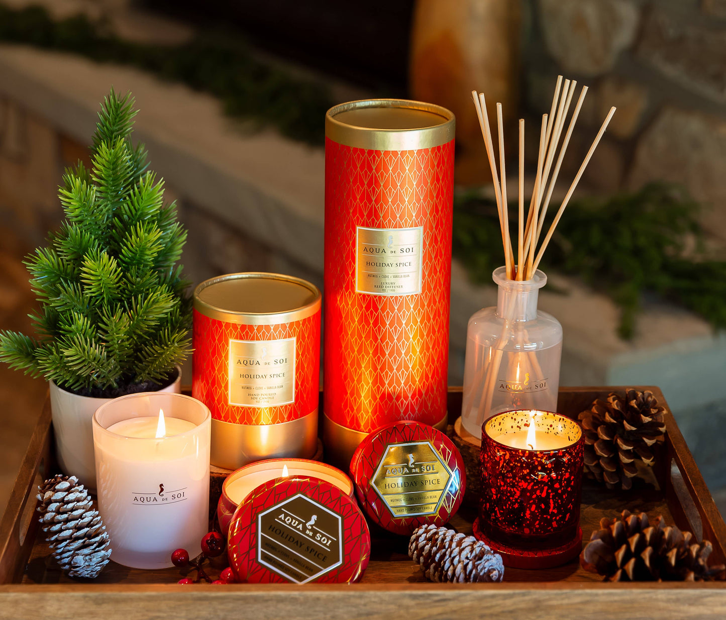 Holiday Spice 5oz Holiday Jar Soy Candles