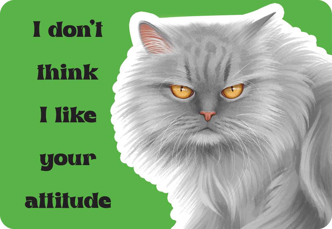 Cattitude by Rockpool  Publishing: Flashcards; 24 pages / English