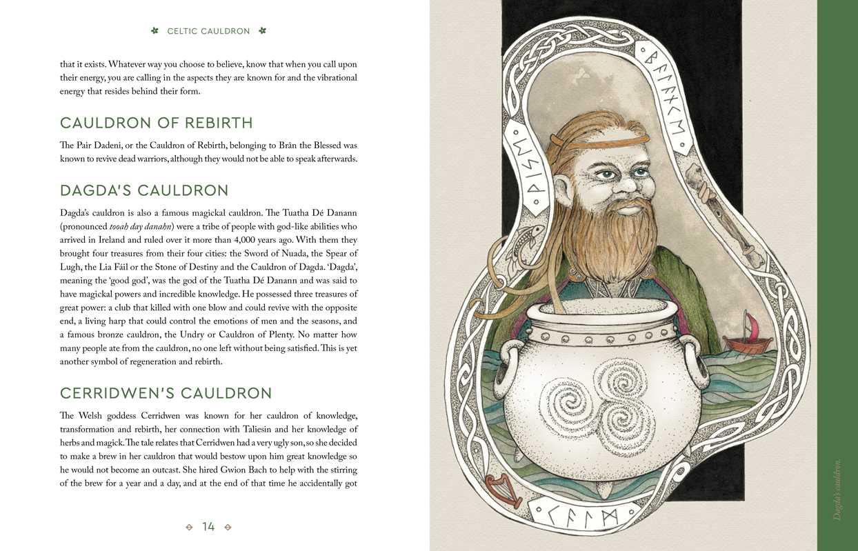 Celtic Cauldron by Nicola  McIntosh: Hardcover; 288 pages / English
