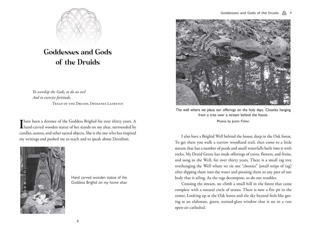 Celtic Druidry by Ellen Evert Hopman: Paperback; 256 pages / English