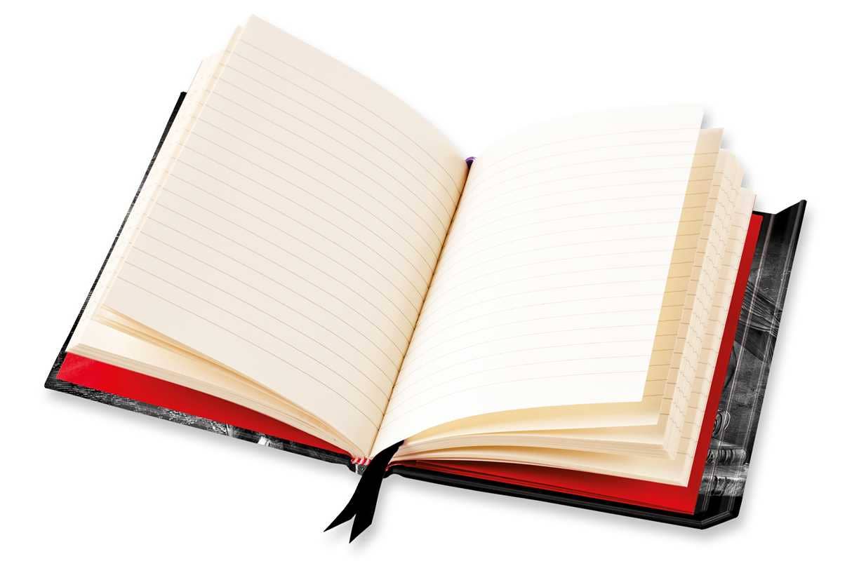Alchemy: Poe's Raven (Foiled Journal) by: Notebook / blank book; 176 pages / English