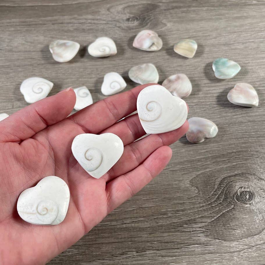 Shiva Eye Shell Heart