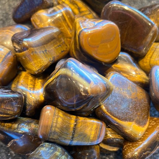 TS Tiger Eye- Lg
